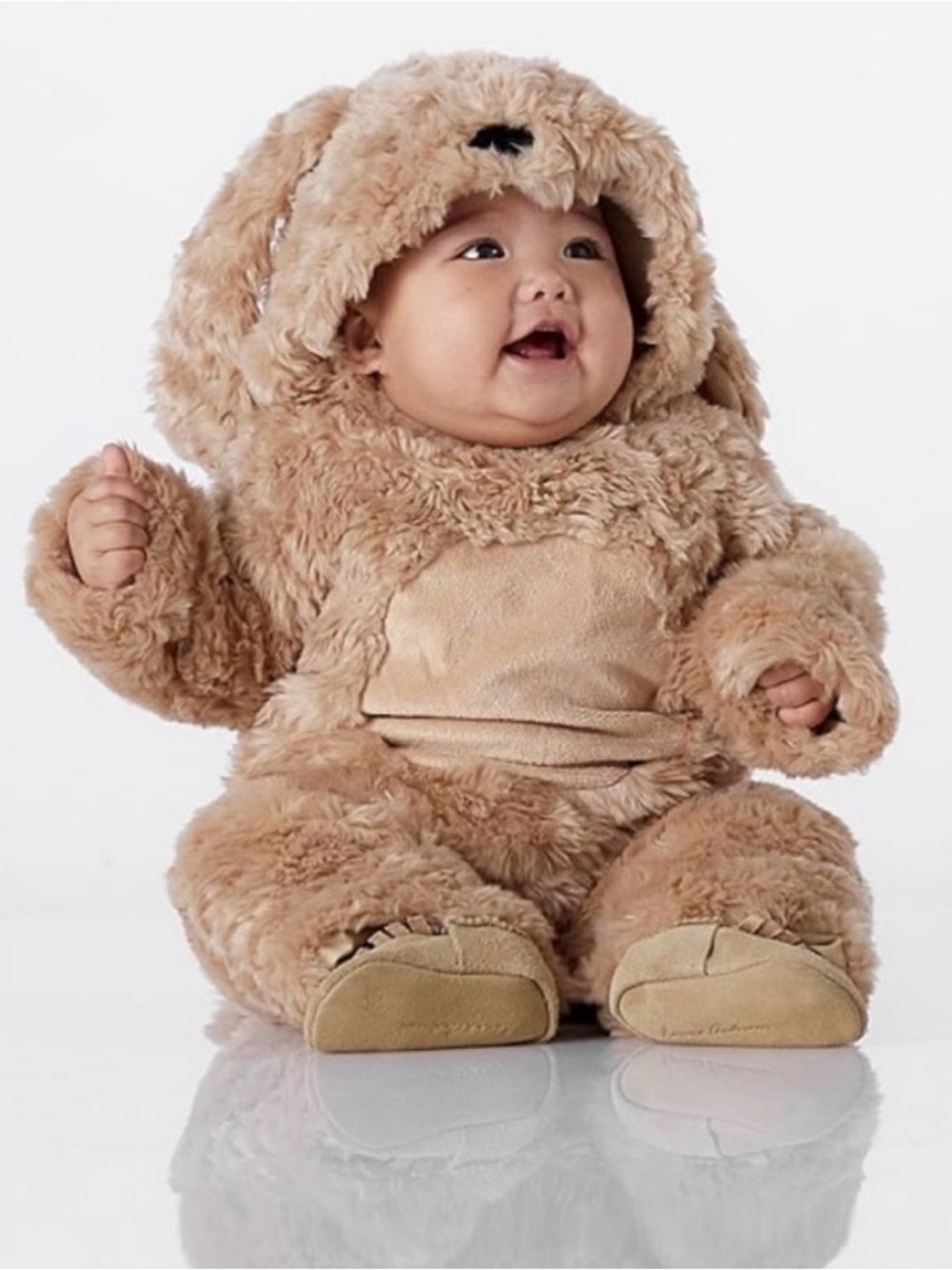 Pottery Barn Kids Labradoodle costume